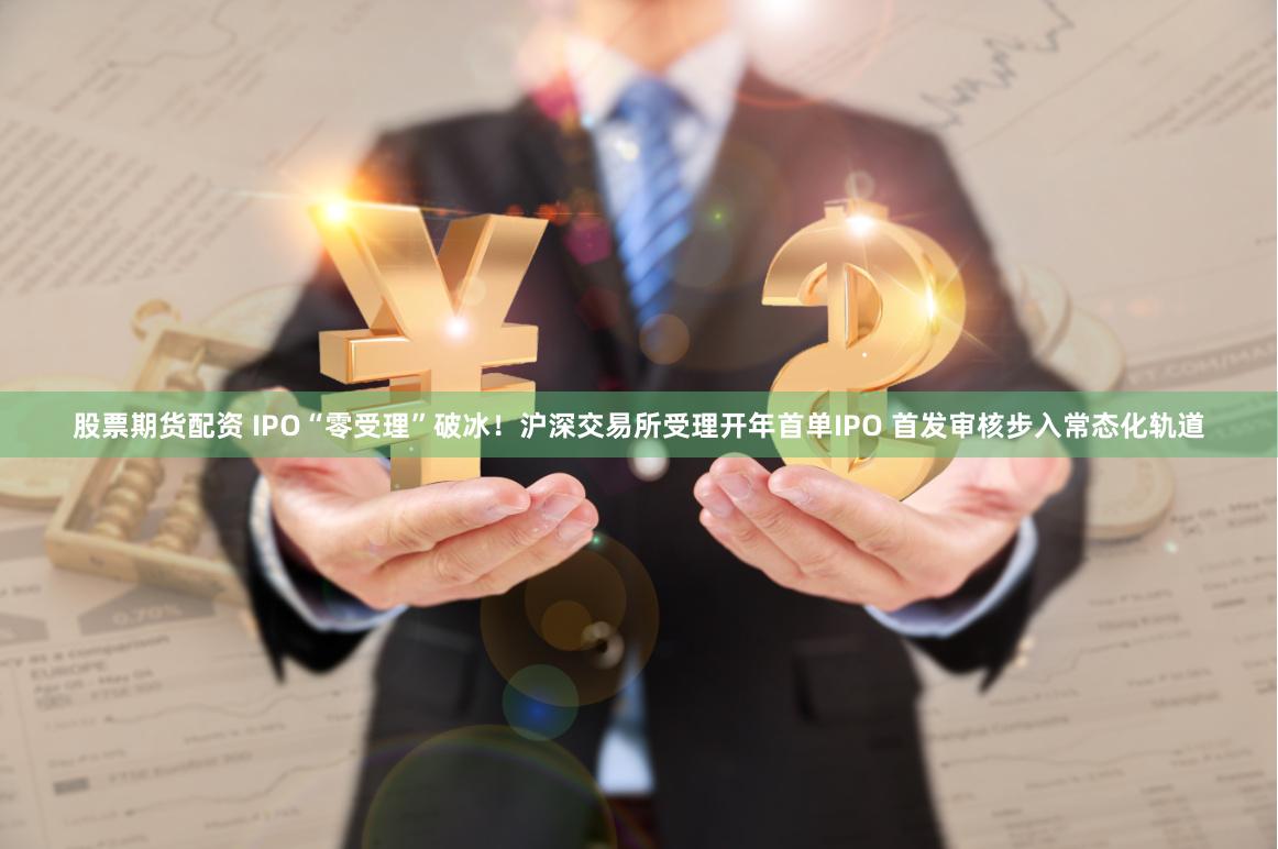 股票期货配资 IPO“零受理”破冰！沪深交易所受理开年首单IPO 首发审核步入常态化轨道